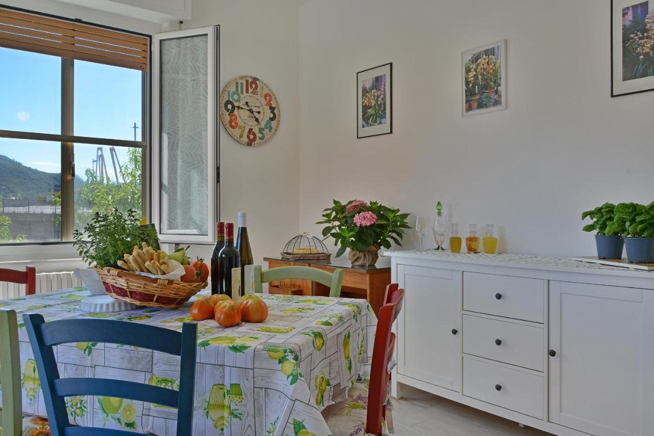 Agriturismo La Casa Degli Zii Αλμπένγκα Εξωτερικό φωτογραφία